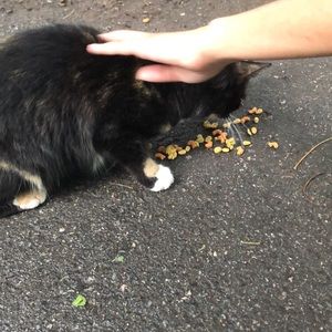 Meet your Posher, Jackie